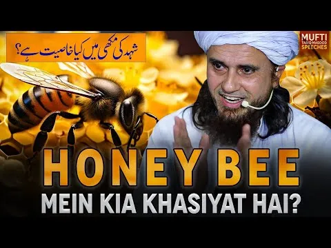 HoneyBeeMeinKyaKhasiyatHai